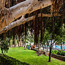 Pia Bella Hotel